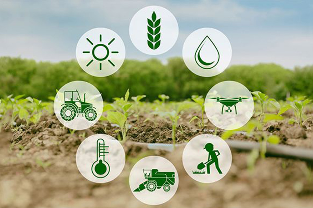 اعطای نمایندگی مراکز خدمات کشاورزی بابلور