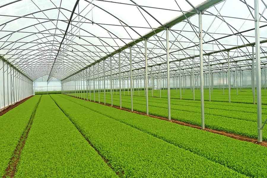 اجرای سازهای گلخانه با پرداخت تسهیلات بانکی